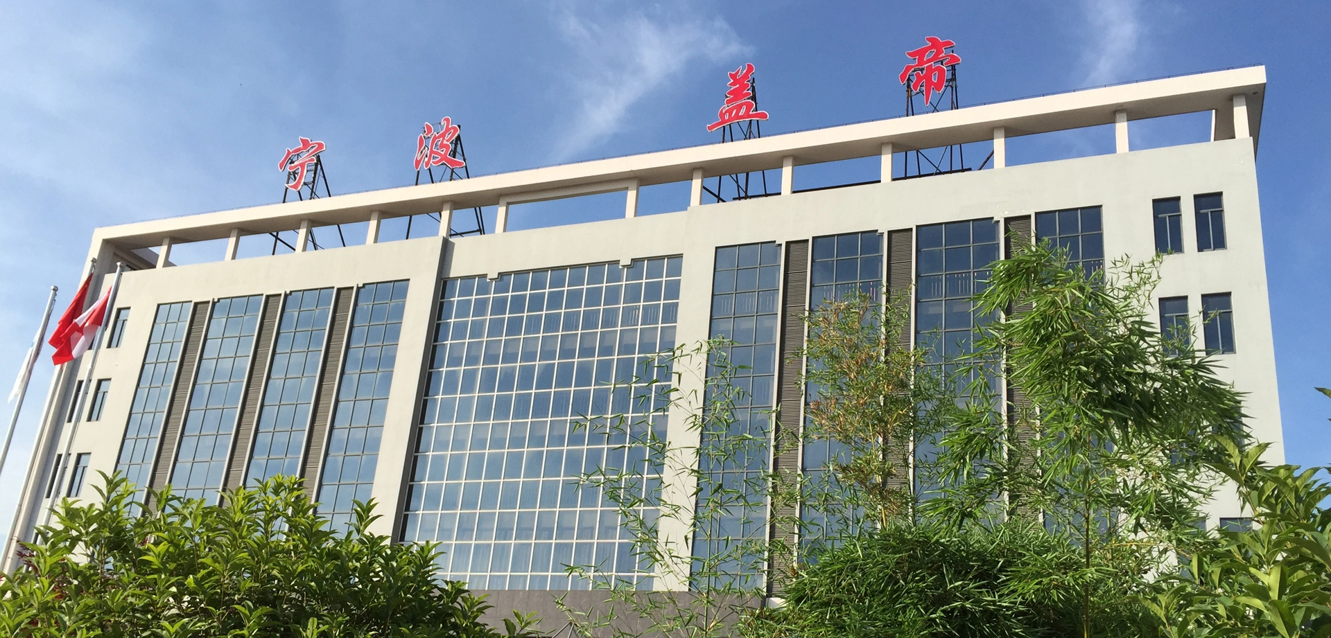 Company Profile