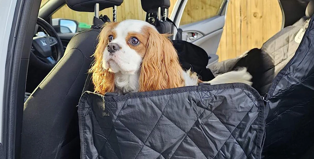 Dog Car Seat Cover
