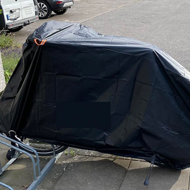 Driving Forward: Expanding Production and Global Partnerships